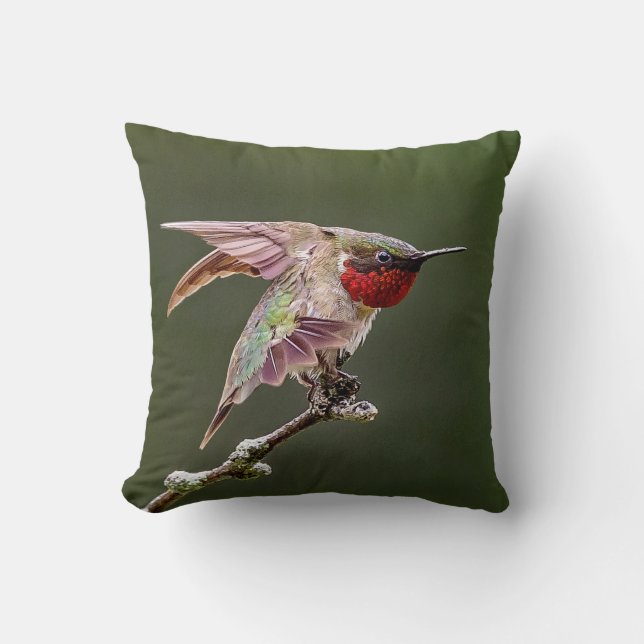 Hummingbird Stretches  Cushion (Front)
