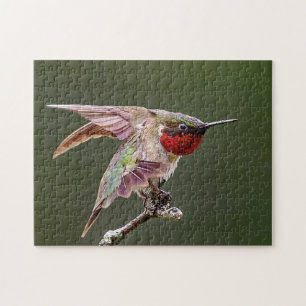 Hummingbird Stretches Jigsaw Puzzle