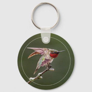 Hummingbird Stretches W/Border Key Ring