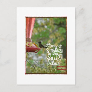 Hummingbird Sunshine in my Soul Postcard
