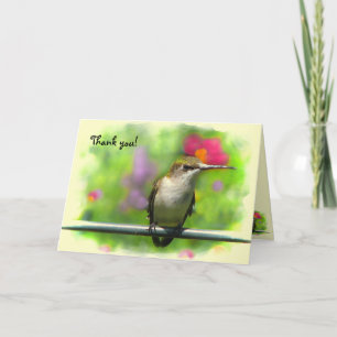 Hummingbird Thank You Card