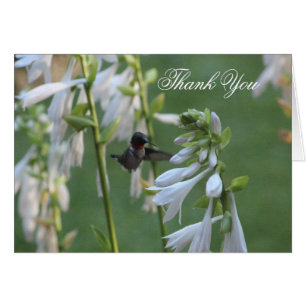 Hummingbird Thank You Card
