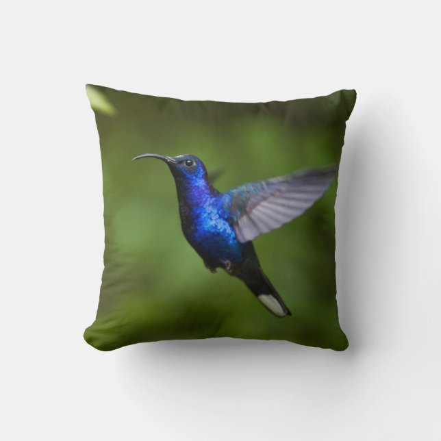 HUMMINGBIRD THROW PILLOW (Front)