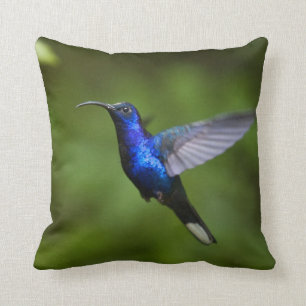 HUMMINGBIRD THROW PILLOW
