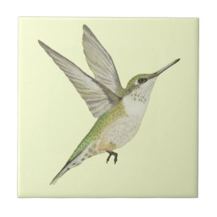 Hummingbird Tile