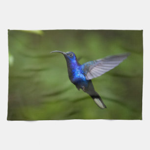 HUMMINGBIRD TOWELS
