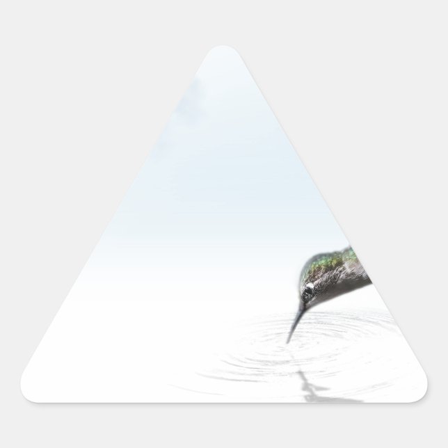 Hummingbird Triangle Sticker (Front)