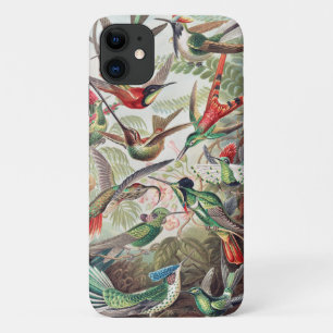 Hummingbird, Trochilidae Kolibris by Ernst Haeckel Case-Mate iPhone Case