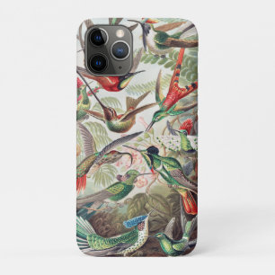 Hummingbird, Trochilidae Kolibris by Ernst Haeckel Case-Mate iPhone Case