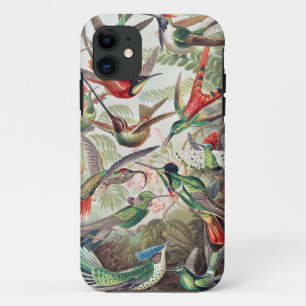 Hummingbird, Trochilidae Kolibris by Ernst Haeckel Case-Mate iPhone Case
