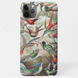 Hummingbird, Trochilidae Kolibris by Ernst Haeckel Case-Mate iPhone Case