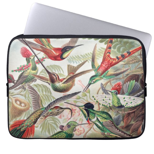 Hummingbird, Trochilidae Kolibris by Ernst Haeckel Laptop Sleeve (Front)