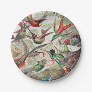 Hummingbird, Trochilidae Kolibris by Ernst Haeckel Paper Plate