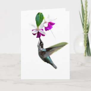 Hummingbird Valentine Card