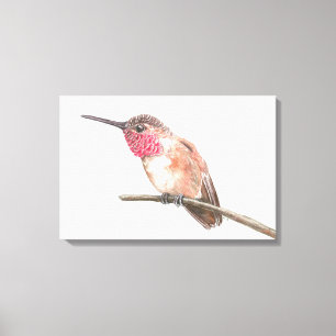 Hummingbird watercolor canvas print