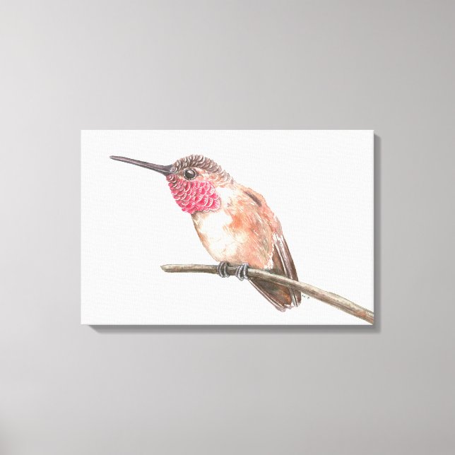 Hummingbird watercolor canvas print (Front)