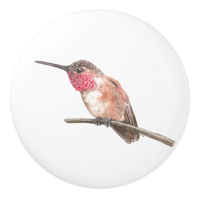 Hummingbird watercolor ceramic knob (Front)