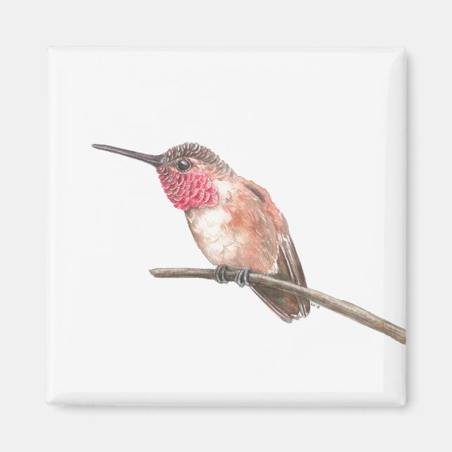 Hummingbird watercolor magnet (Front)