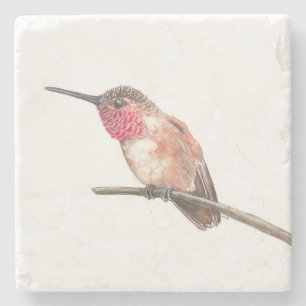 Hummingbird watercolor stone coaster