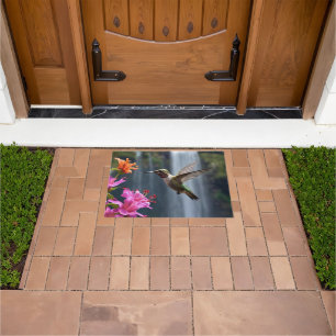 Hummingbird Waterfall Park, Doormat