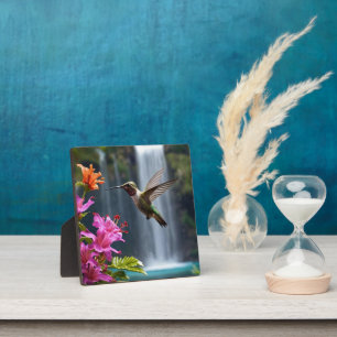 Hummingbird Waterfall Park,  Plaque