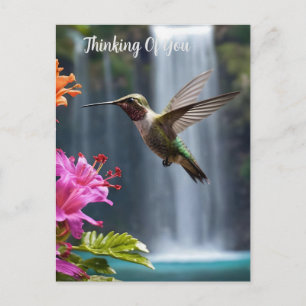 Hummingbird Waterfall Park, Postcard