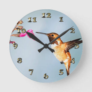 Hummingbird Wild in Nature Round Clock