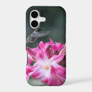 Hummingbird with belladonna lilies