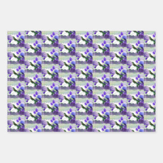 Hummingbird with hydrangeas, roses, purple back wr wrapping paper sheet