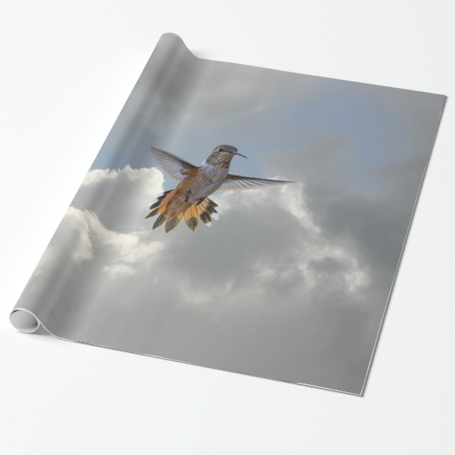 HUMMINGBIRD WRAPPING PAPER (Unrolled)