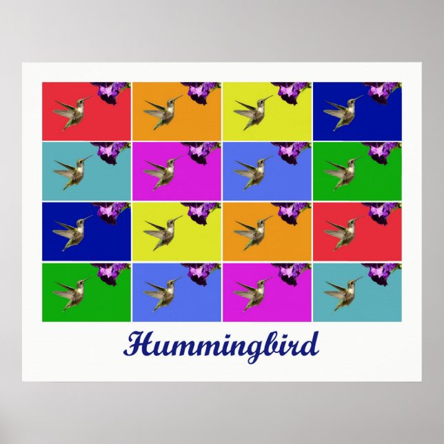 Hummingbird x16 (Titled) Poster (Front)