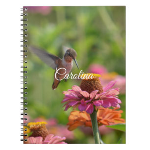 Hummingbird Zinnia Flowers Notebook