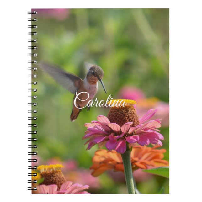 Hummingbird Zinnia Flowers Notebook (Front)