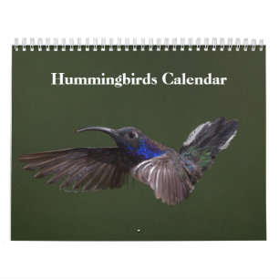 Hummingbirds 2027 calendar