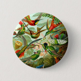 Hummingbirds 6 Cm Round Badge