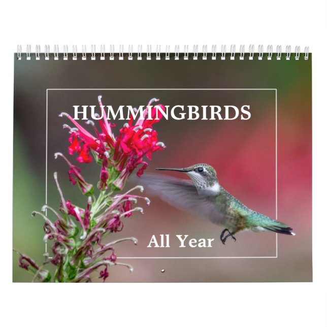 Hummingbirds All Year Calendar (Cover)