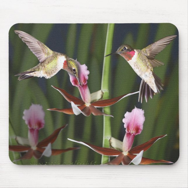 Hummingbirds and Blooms Mouse Pad (Front)