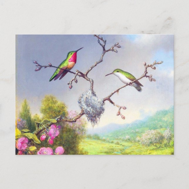 Hummingbirds and blossoms art  postcard (Front)