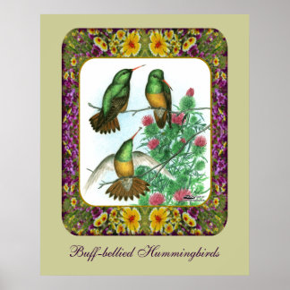 Hummingbirds and Flowers #1 Poster