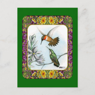 Hummingbirds and Flowers #2 Postcard