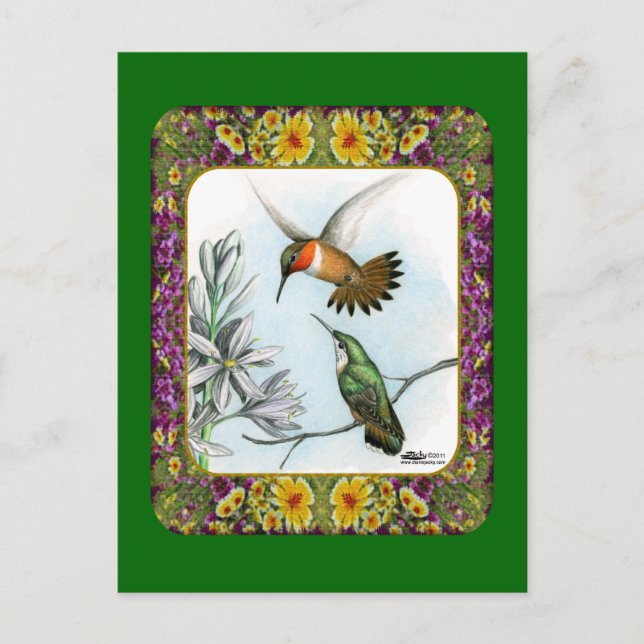 Hummingbirds and Flowers #2 Postcard (Front)