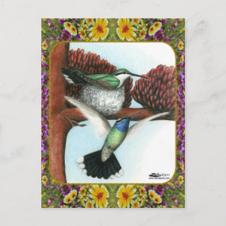 Hummingbirds and Flowers #3 Postcard