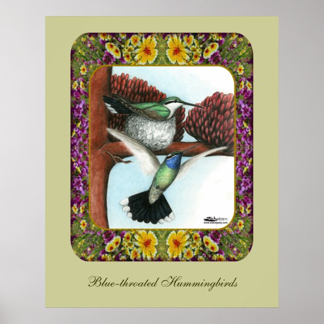 Hummingbirds and Flowers #3 Poster (Front)