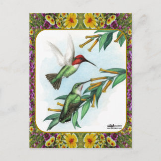 Hummingbirds and Flowers #4 Postcard