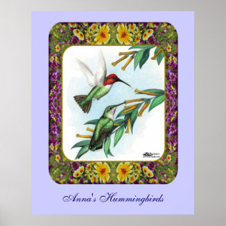 Hummingbirds and Flowers #4 Poster