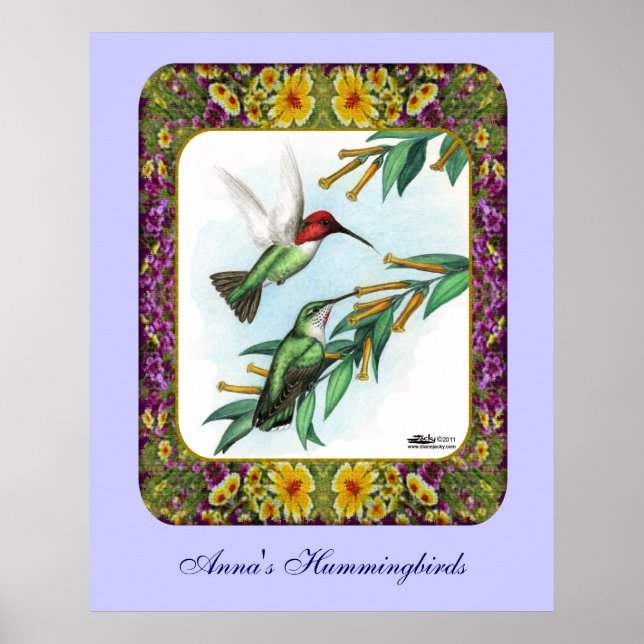 Hummingbirds and Flowers #4 Poster (Front)