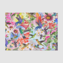 Hummingbirds and Flowers