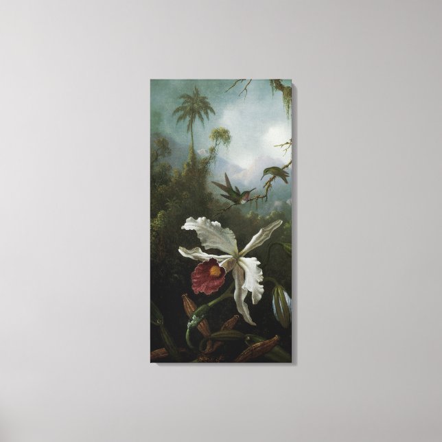 Hummingbirds and White Orchid by Martin J. Heade Canvas Print (Front)