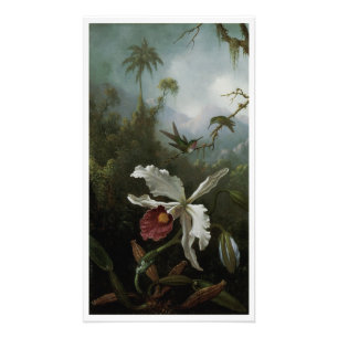 Hummingbirds and White Orchid by Martin J. Heade Photo Print