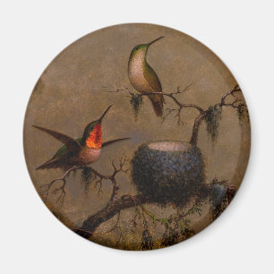 Hummingbirds bird nest victorian heade painting magnet